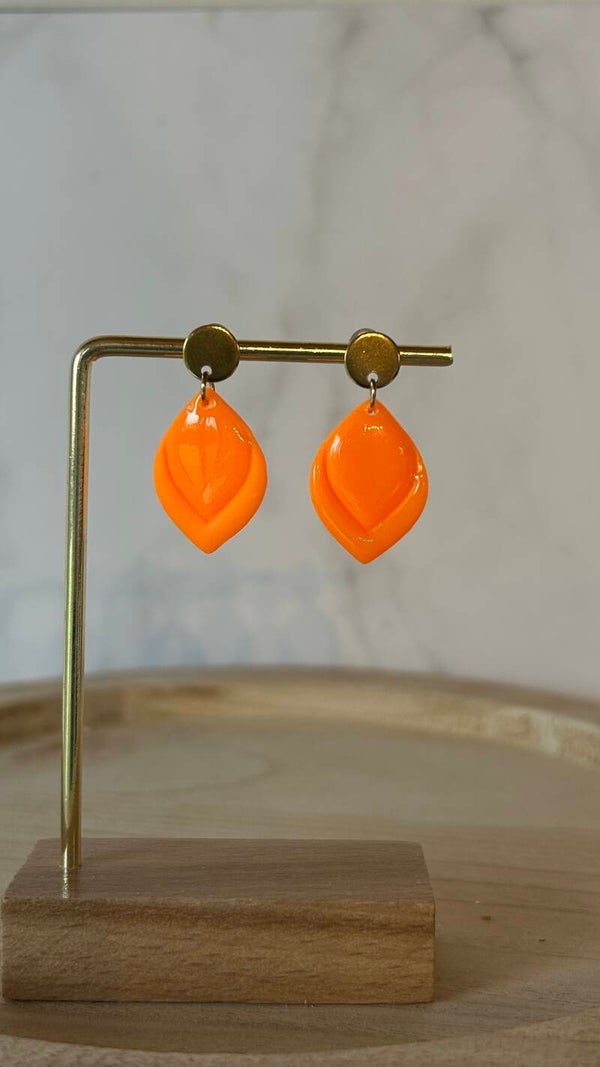 Oranje 31