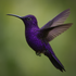 Amethyst Hummingbird Counselling Amethyst Hummingbird Counselling
