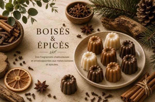 🌲Boisés & Épicés