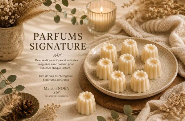 ✨ Parfums Signature
