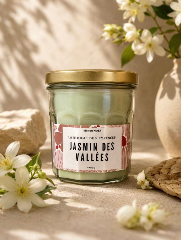 🌸Jasmin des Vallées