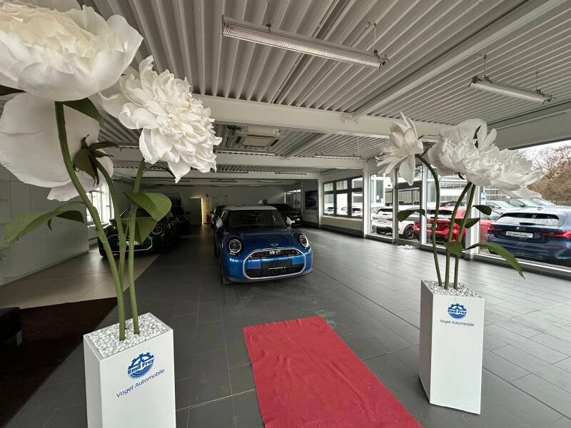 giantflowers_germany, Riesenblumen mieten