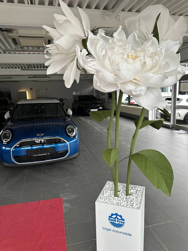 giantflowers_germany, Riesenblumen kaufen