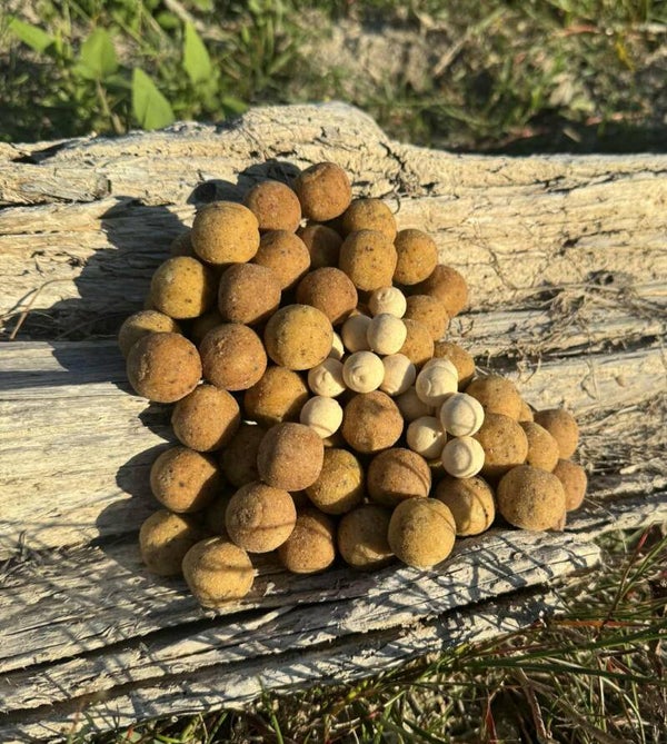 Bouillette Calamar Pêche Poivre Fraîche