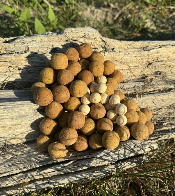 Bouillette Calamar Pêche Poivre Fraîche