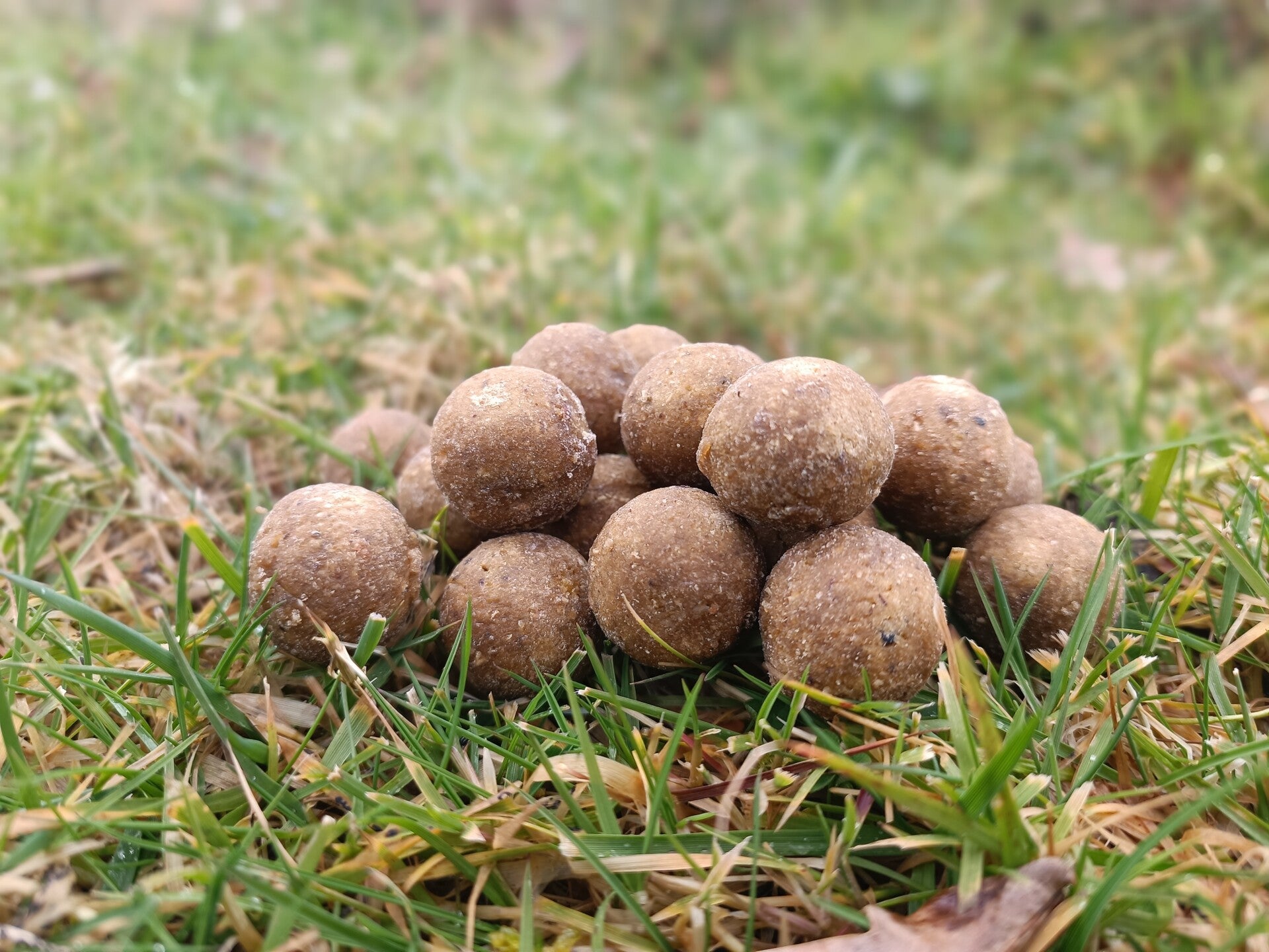 Fameuse KS (stabilisé)