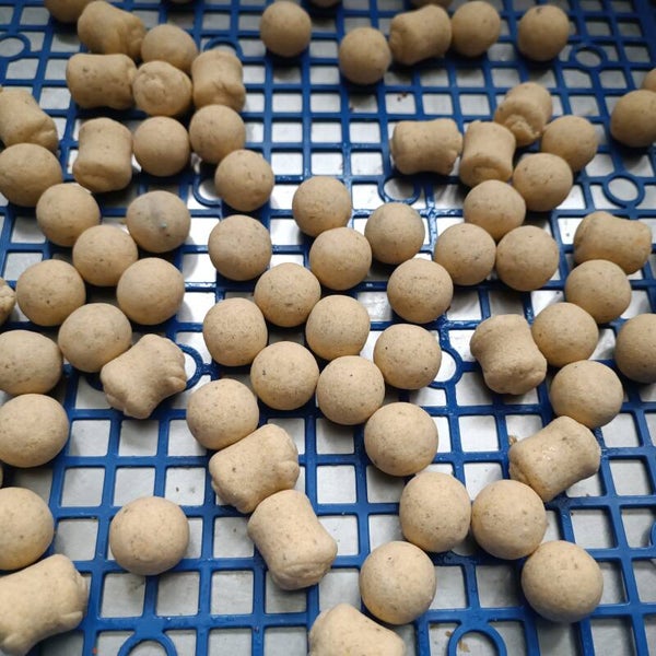 WAFTERS KS (saumon/krill)