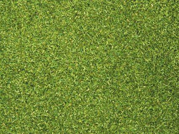 Strooimateriaal Lichtgroen - 200gr
