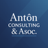 ANTON CONSULTING &amp; ASOC