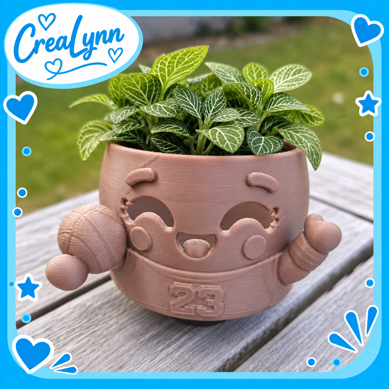 Minipots - Basketter