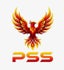 Phoenix Security Services
