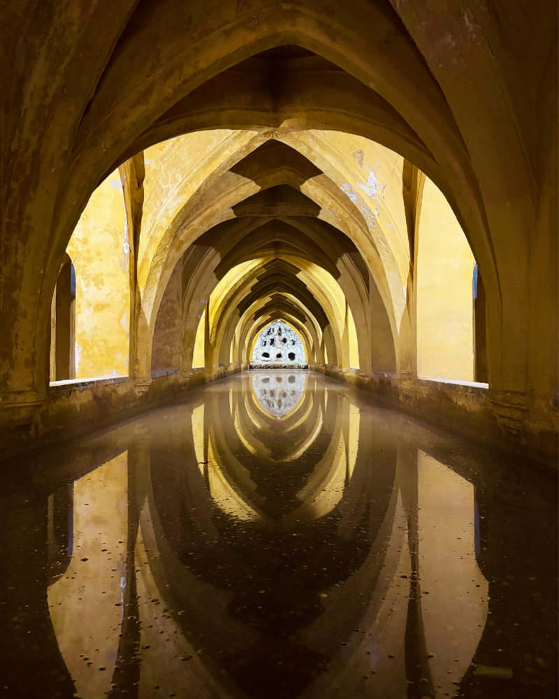 real-alcazar-sevilla-4-standard.png