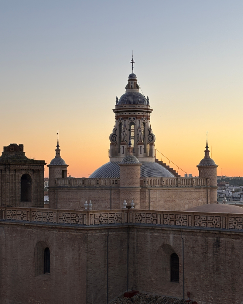setas-de-sevilla-4-standard.png
