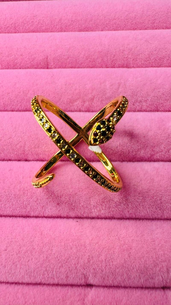 Anillo 🐍