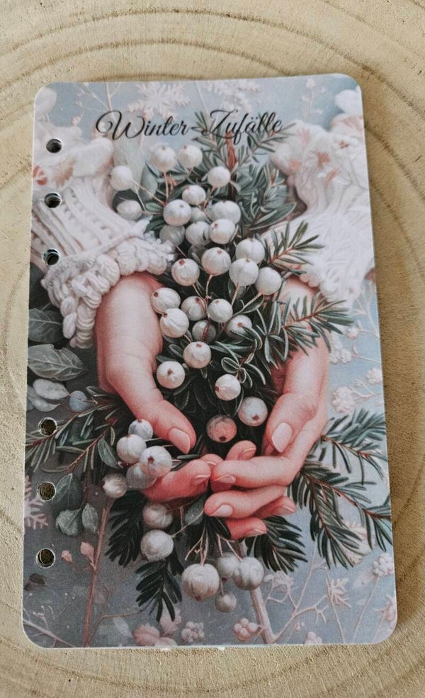 A6 Winter Zufälle Register matt foliert