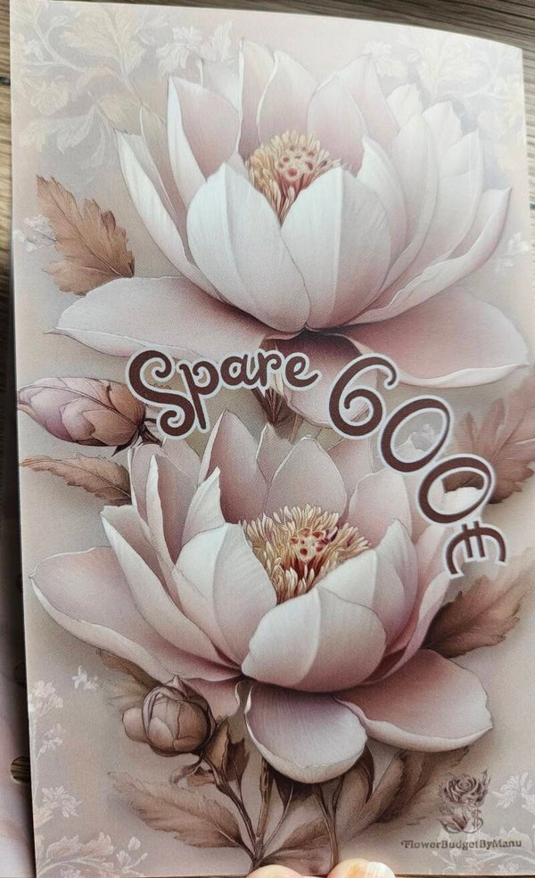 Spare 600€ A6 Sparplan matt foliert