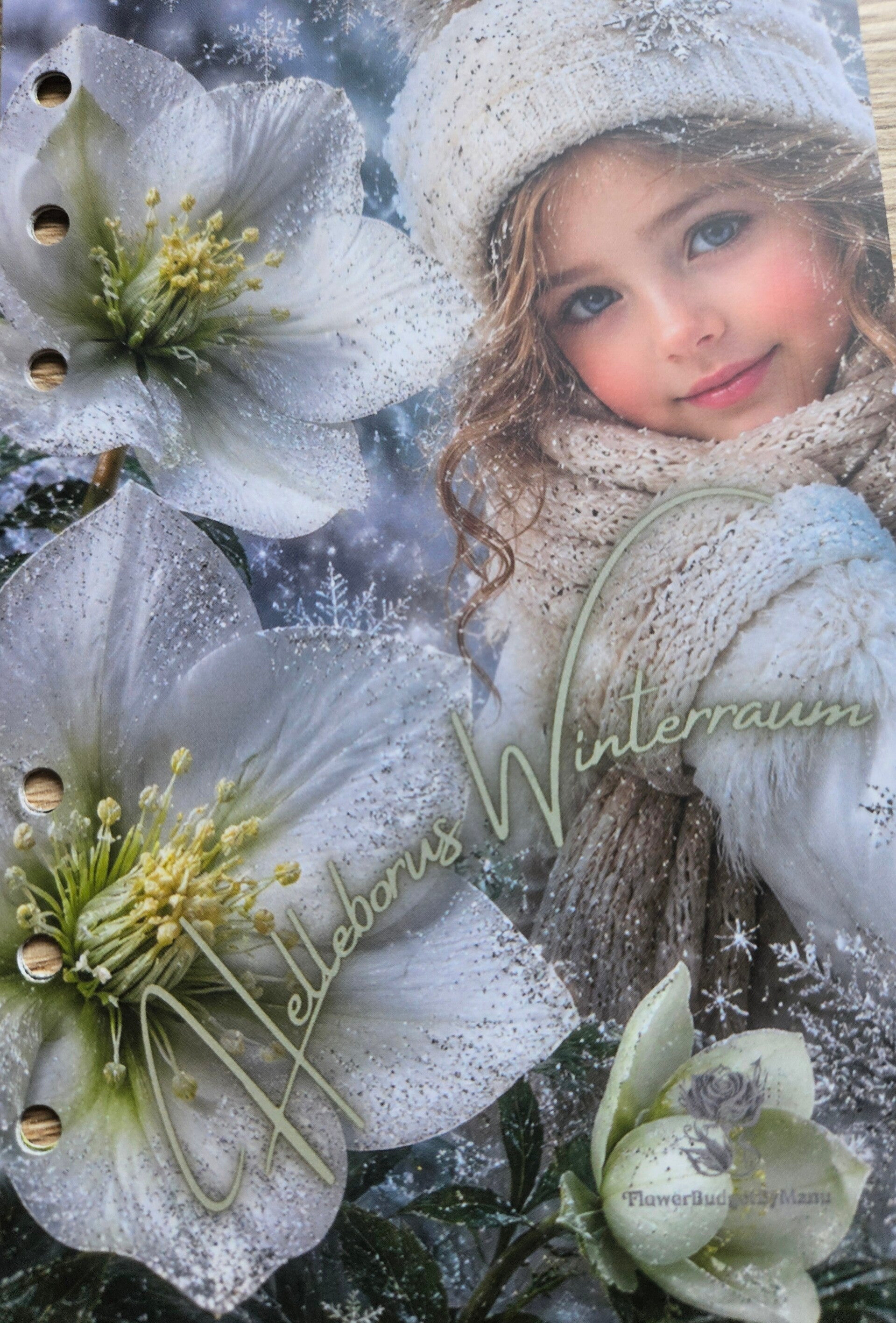 Helleborus Wintertraum zum einheften A6 matt foliert