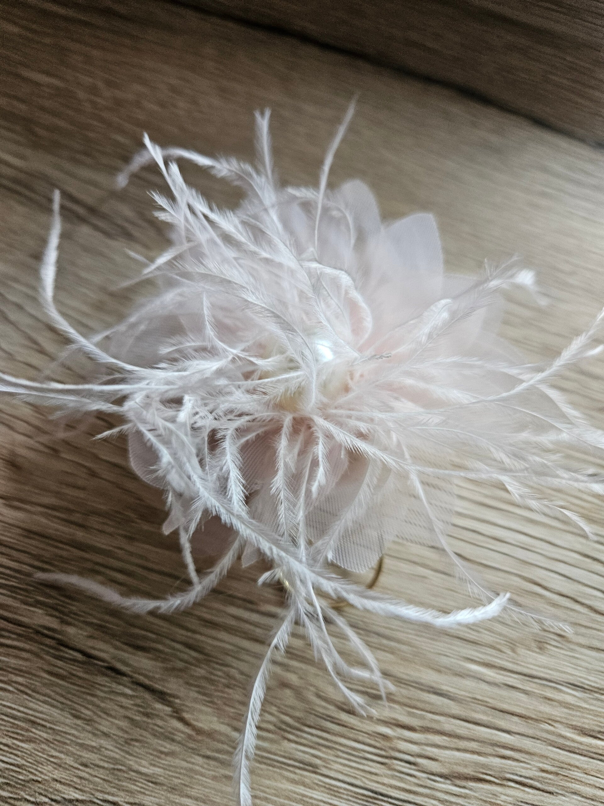 Blüte mit Federn zum Dekorieren vom Binder