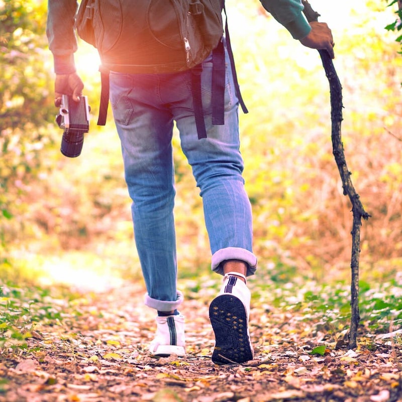 Se ressourcer en forêt, à la mer,  aller au contact des animaux