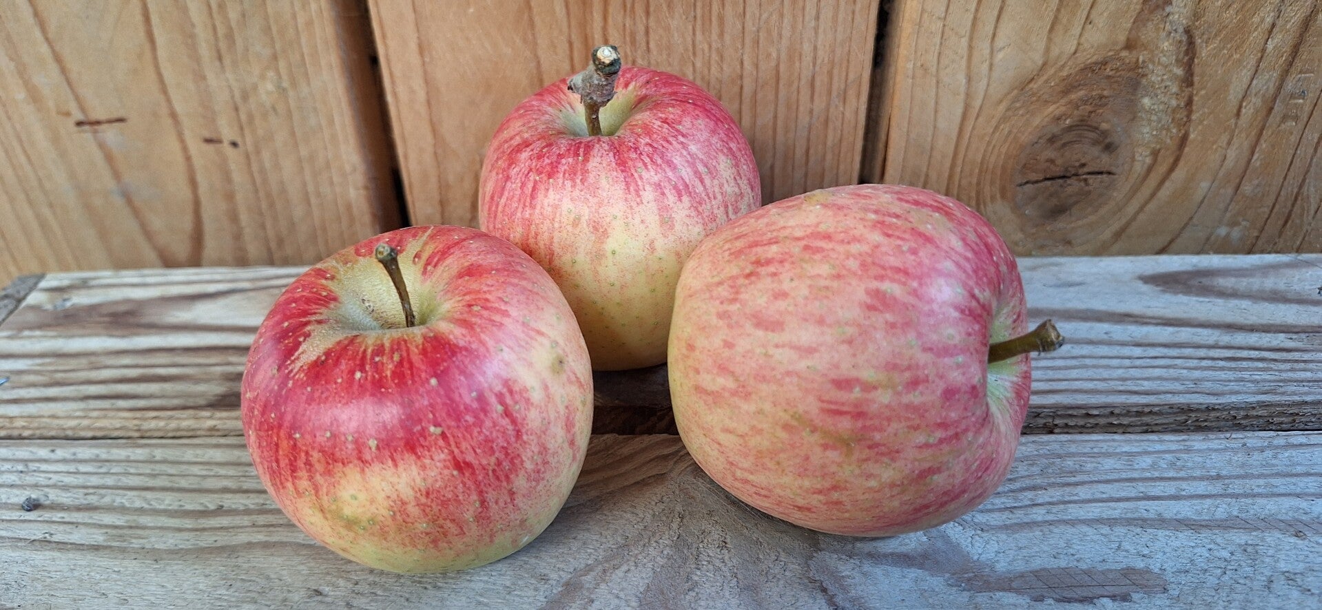 Appels - 1 kg