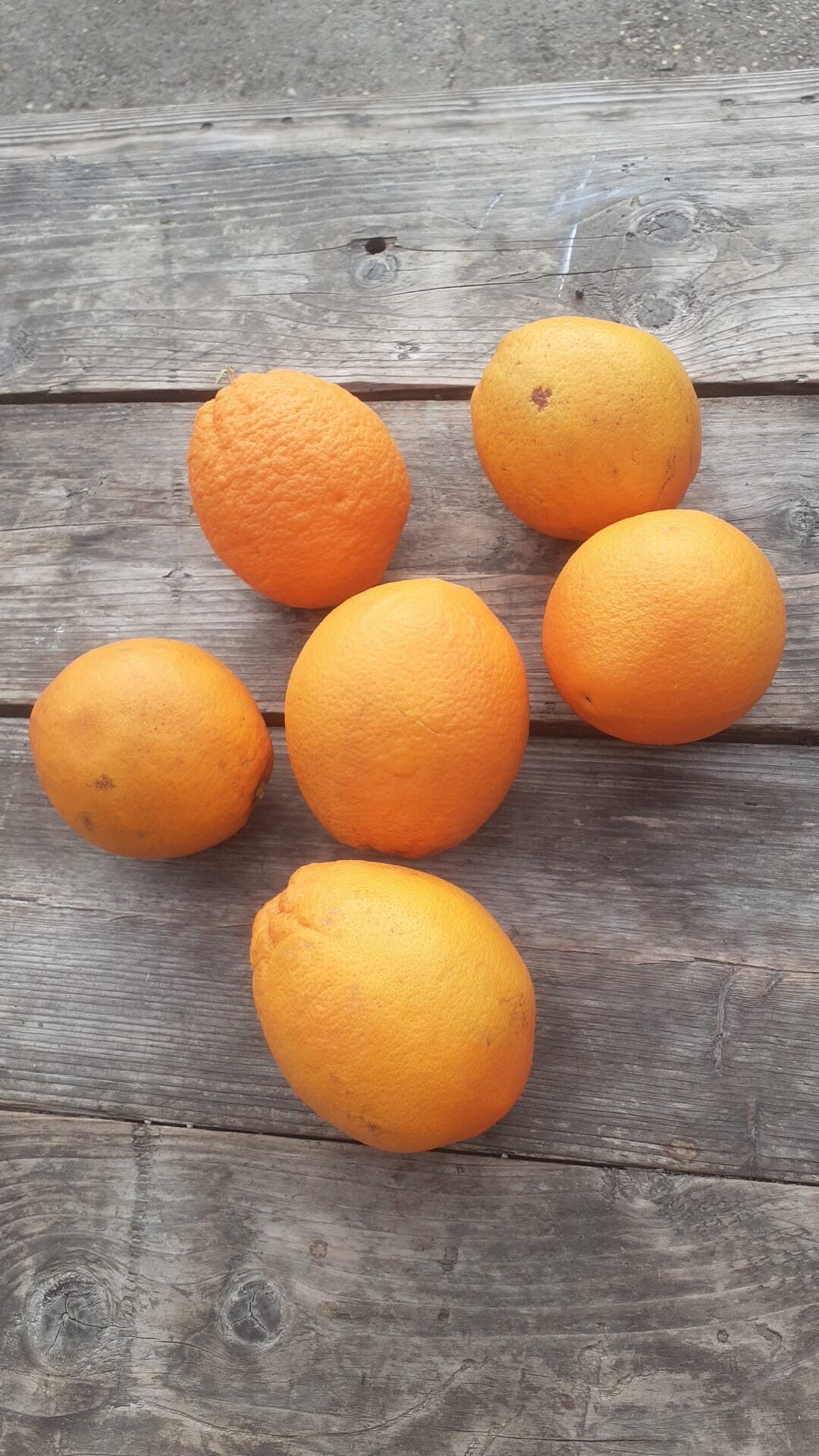 Sinaasappels hand - 1 kilo