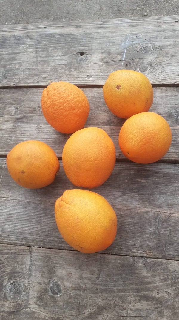 Sinaasappels hand - 1 kilo