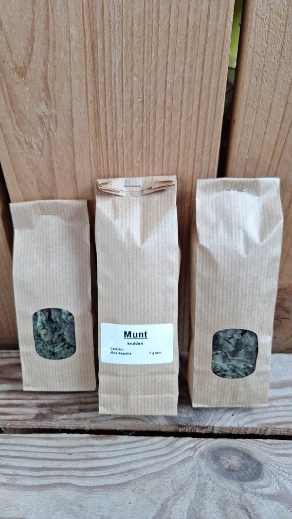 Munt gedroogd - 7 gr