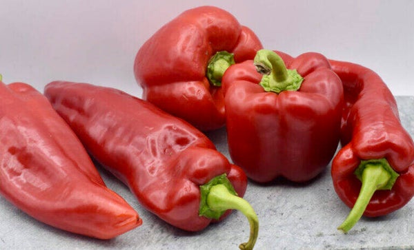 paprika rood - 100 gr -