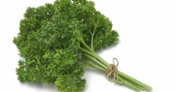 peterselie - 100 gr -