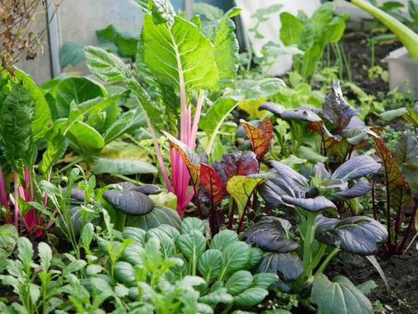 Roerbakgroente - 250 gr