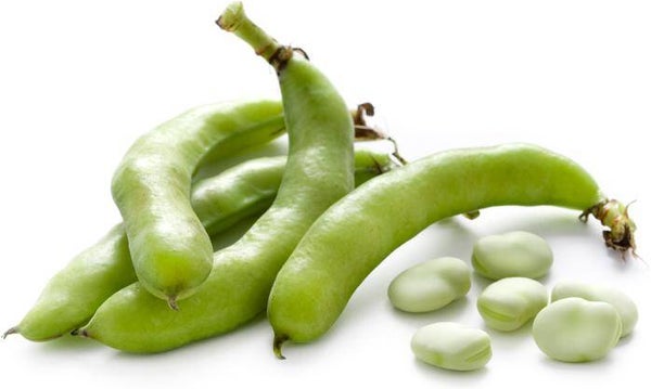 Tuinbonen - 300 gr -