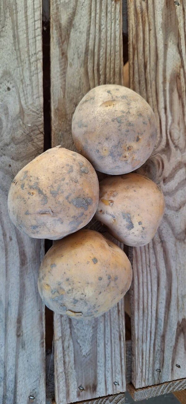 Twister aardappels - 1000 gr -