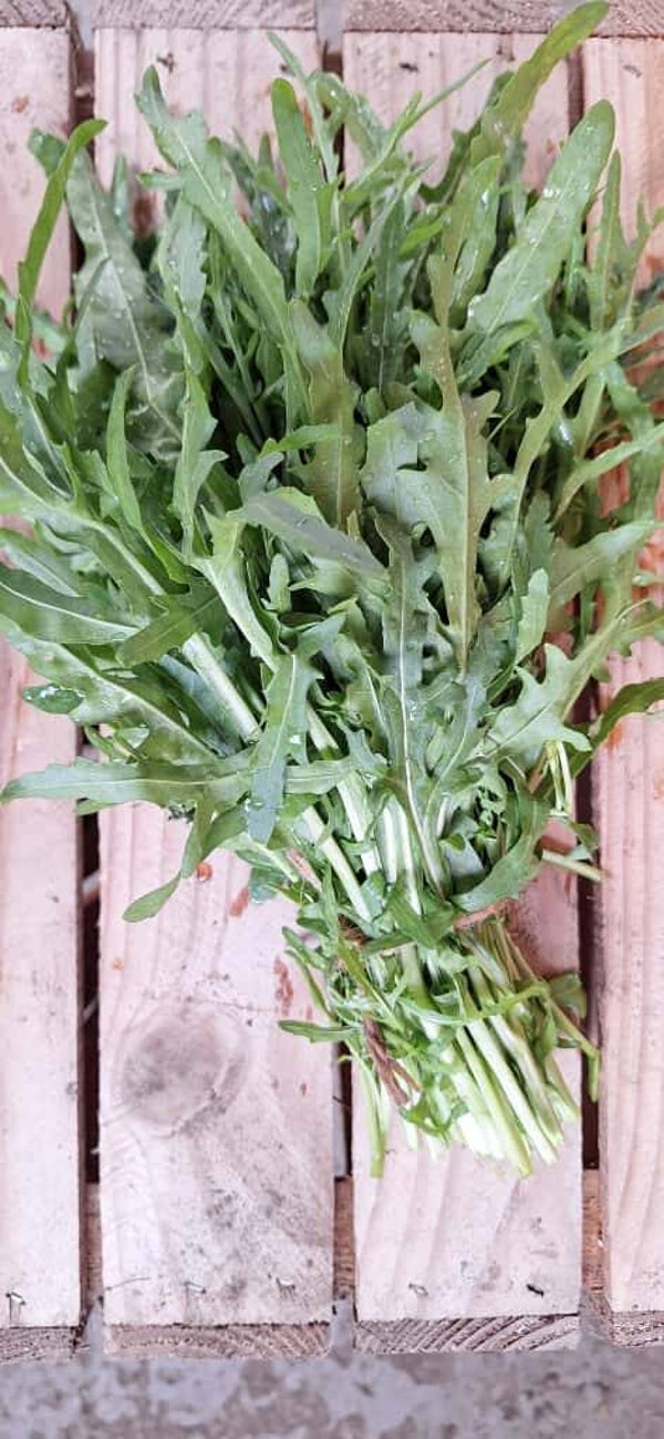 Rucola - 75 gr
