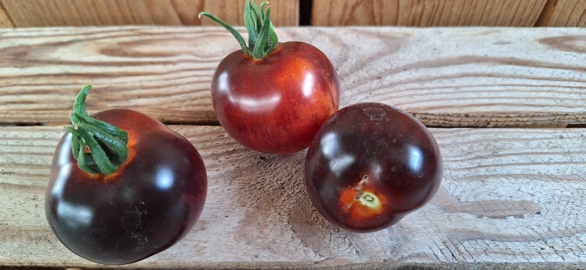 zwarte tomaten - 500 gr -
