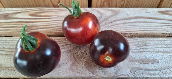 zwarte tomaten - 500 gr -