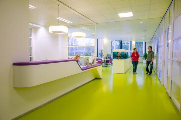 De Hoogstraat Orthopedietechniek