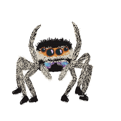 tap-spider-aqo37m.gif