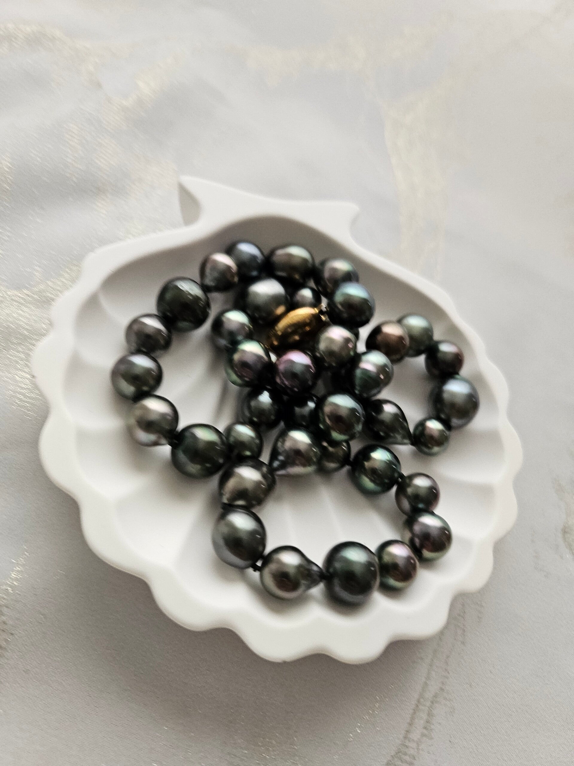 Ocean Shell Tray