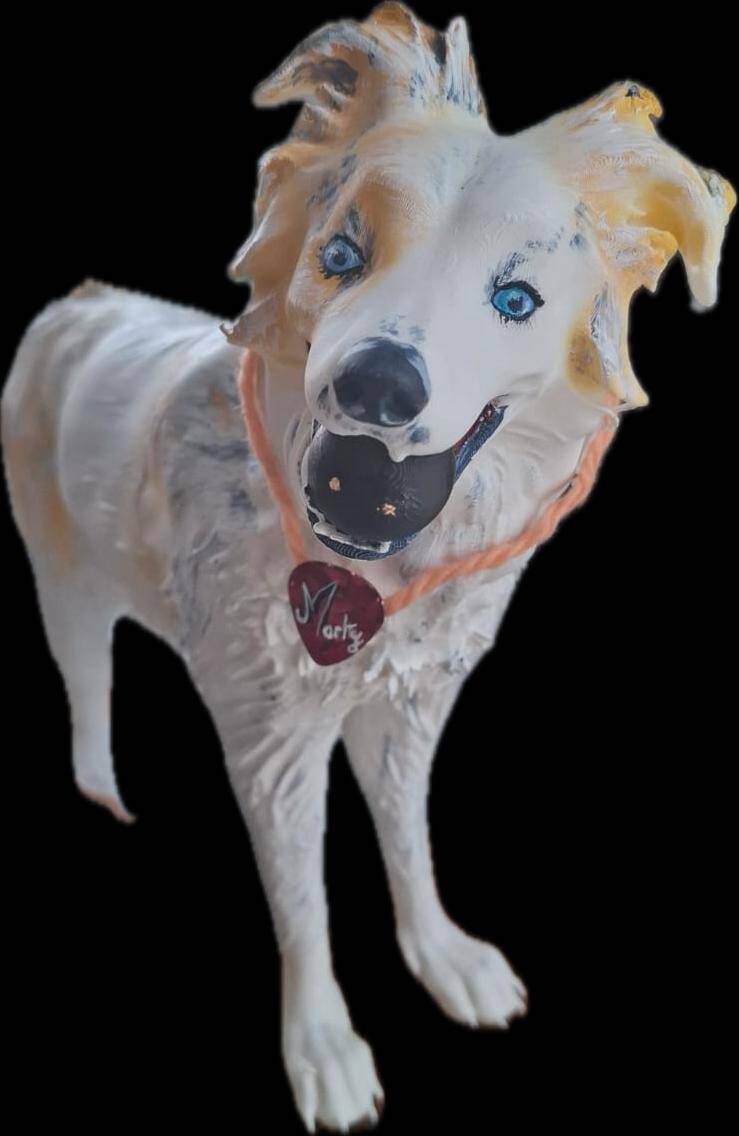 chien-1-standard.jpg