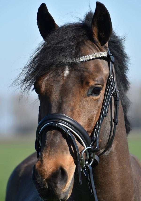 Hoofstel BW