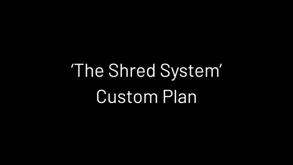 'The Shred System' Program