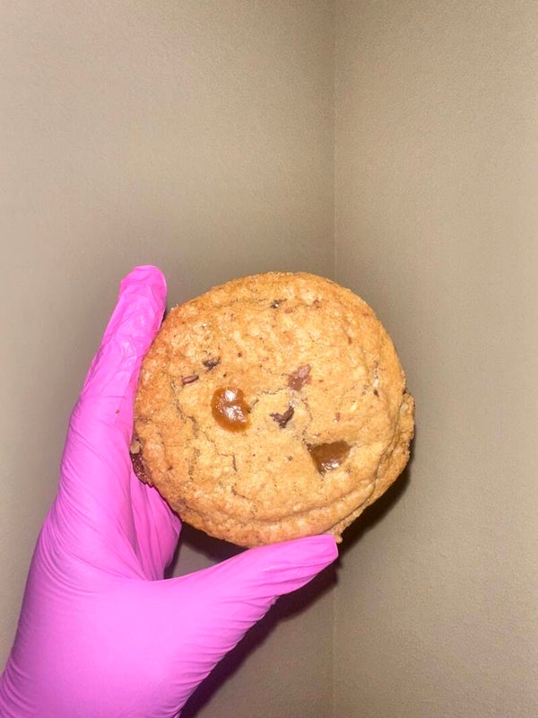 Turtle cookie