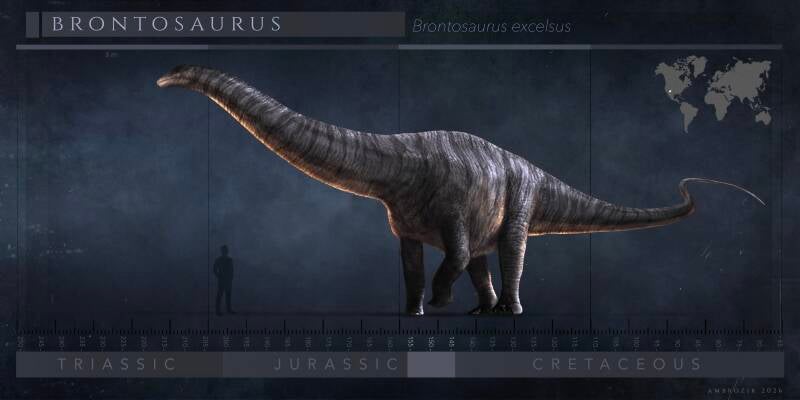img_2826-standard-bug7sf.jpg