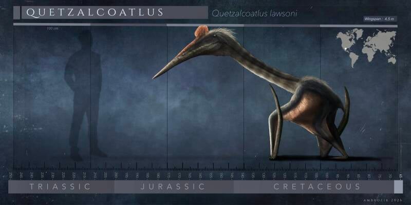 img_5575-standard.jpg
