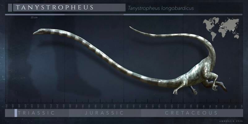 img_9882-standard-b84gzz.jpg
