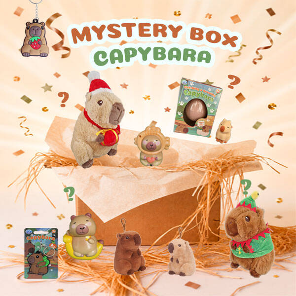 Capybara Mysterybox
