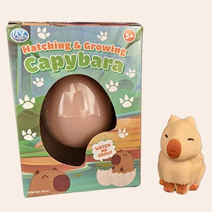 Capybara hatching growing