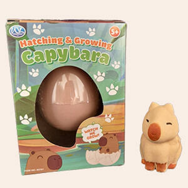 Capybara hatching growing