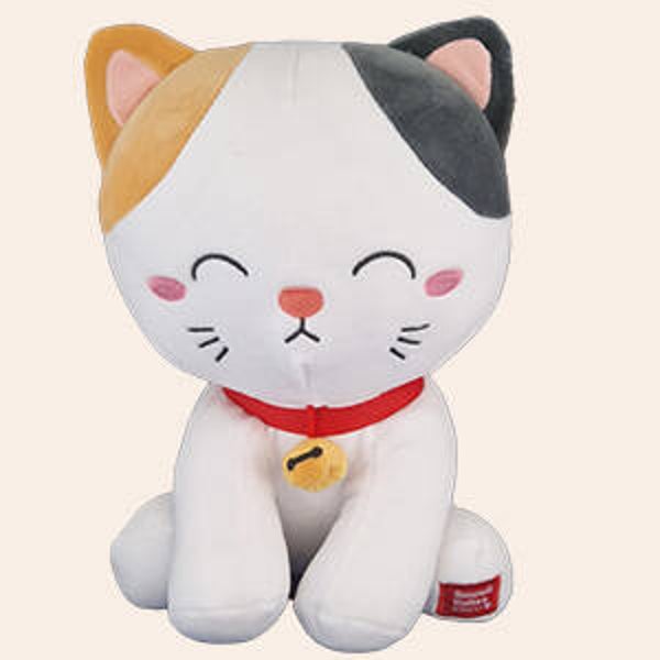 Kawaii Kutie Poes