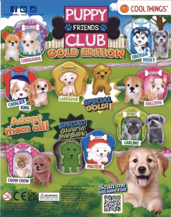 Puppy club hondjes